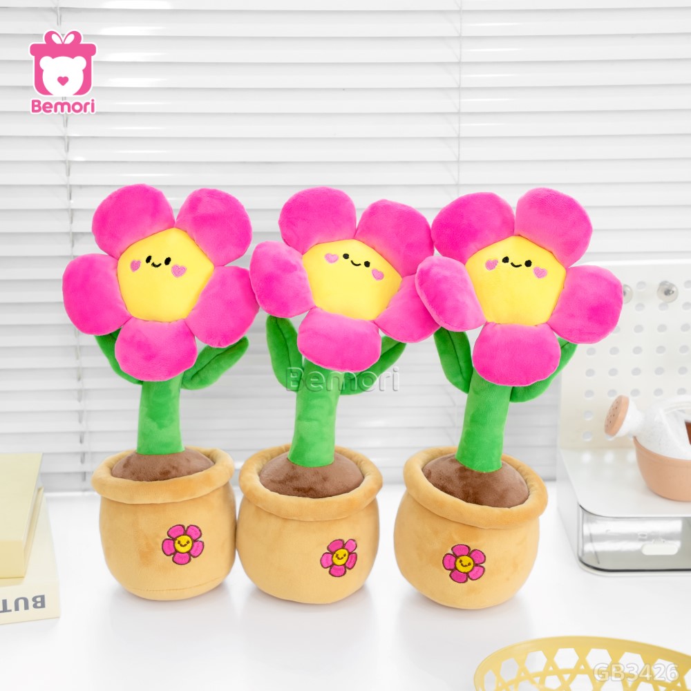 Chậu Hoa Mặt Cười Bông Nhỏ