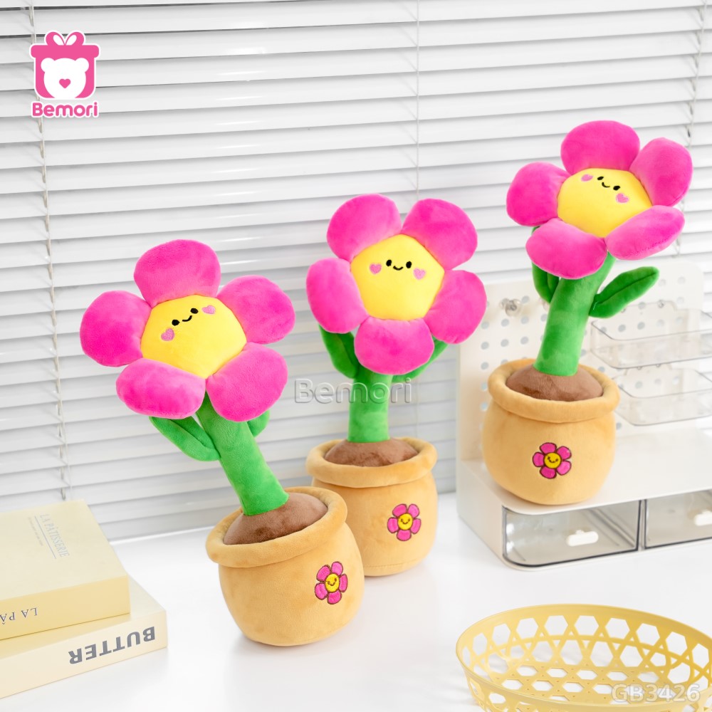 Chậu Hoa Mặt Cười Bông Nhỏ