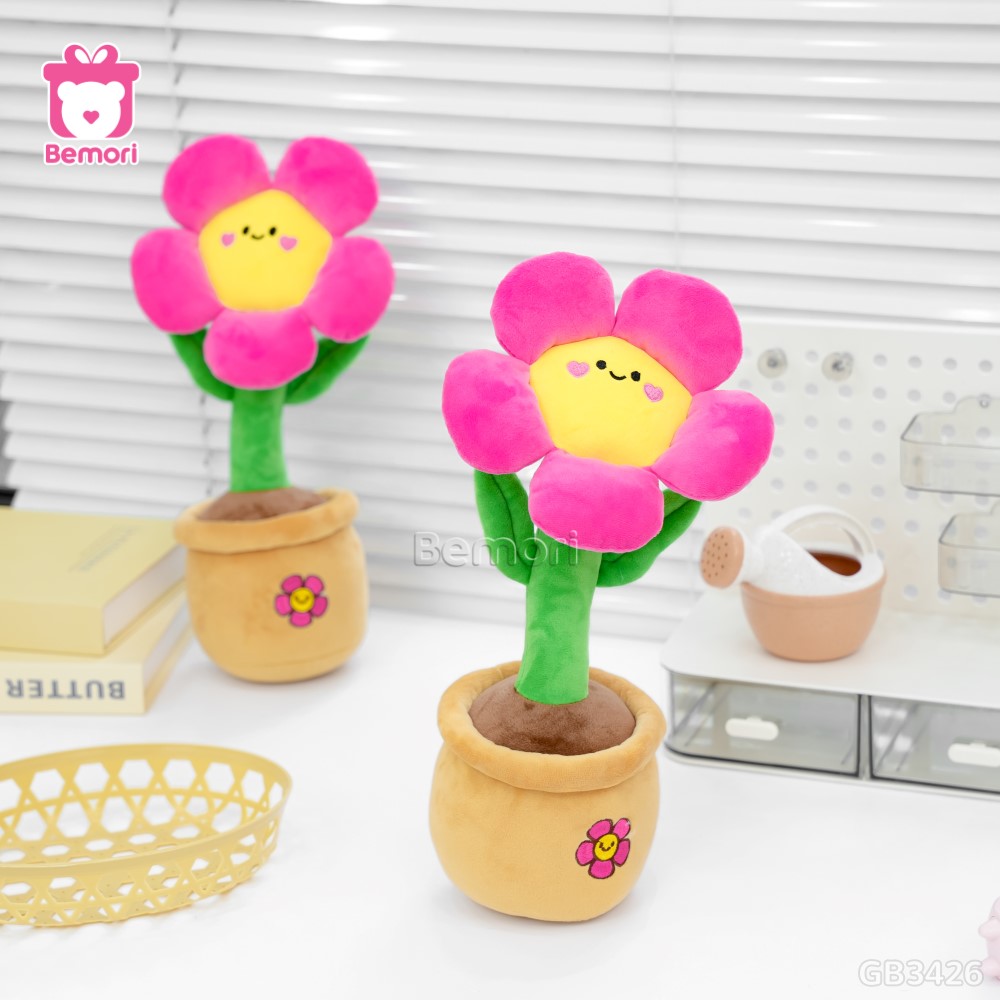 Chậu Hoa Mặt Cười Bông Nhỏ