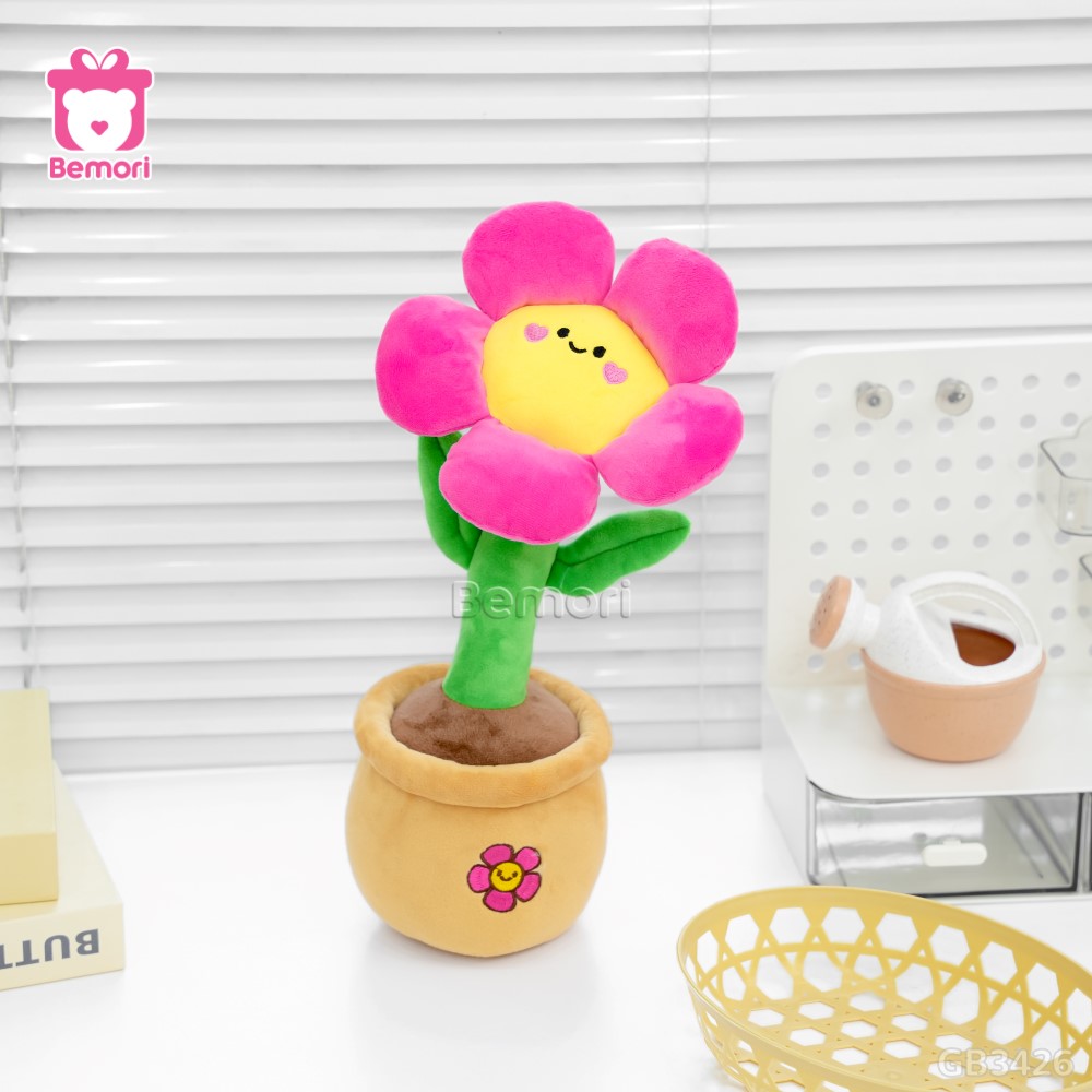 Chậu Hoa Mặt Cười Bông Nhỏ