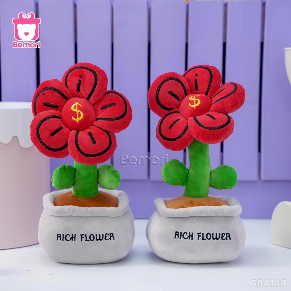 Chậu Hoa Bông Đồng Tiền Rich Flower