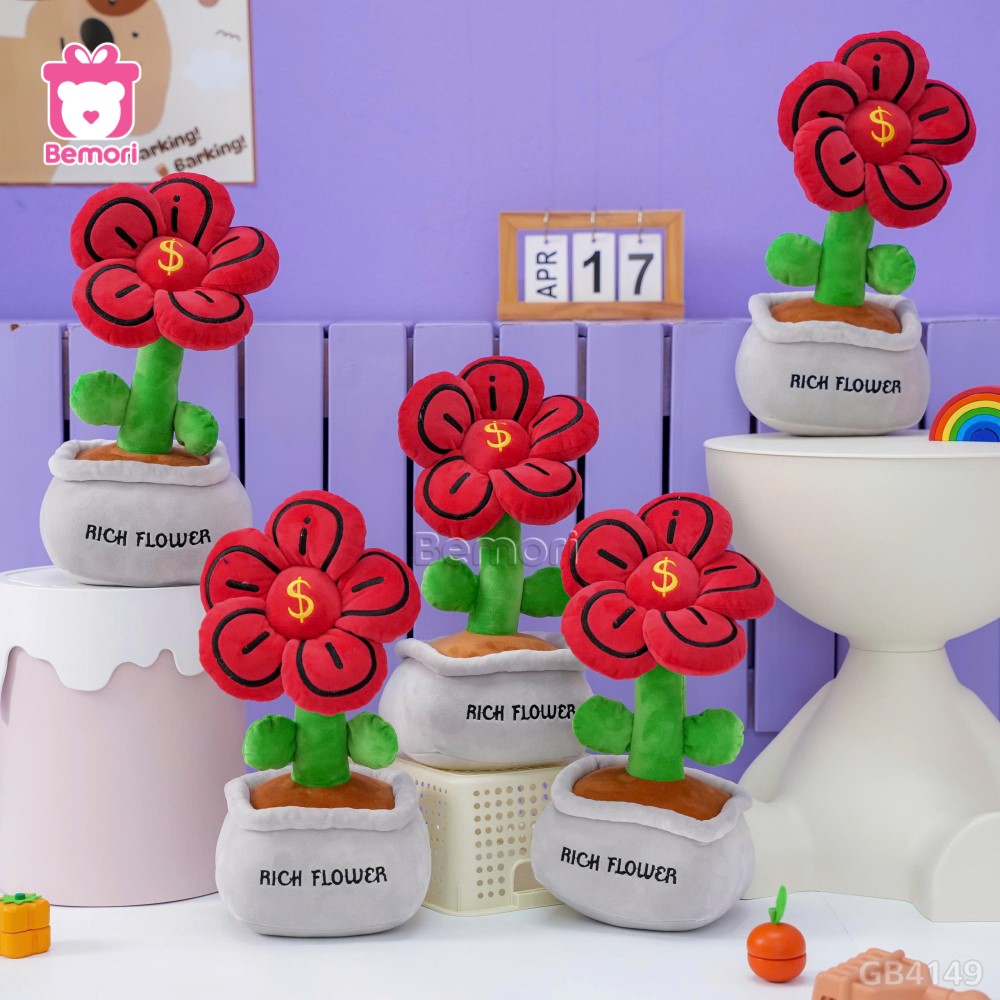 Chậu Hoa Bông Đồng Tiền Rich Flower