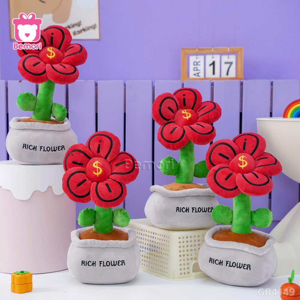 Chậu Hoa Bông Đồng Tiền Rich Flower