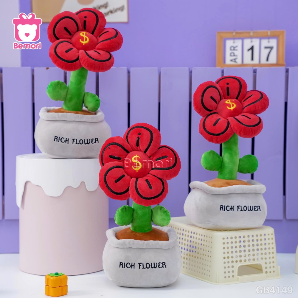 Chậu Hoa Bông Đồng Tiền Rich Flower