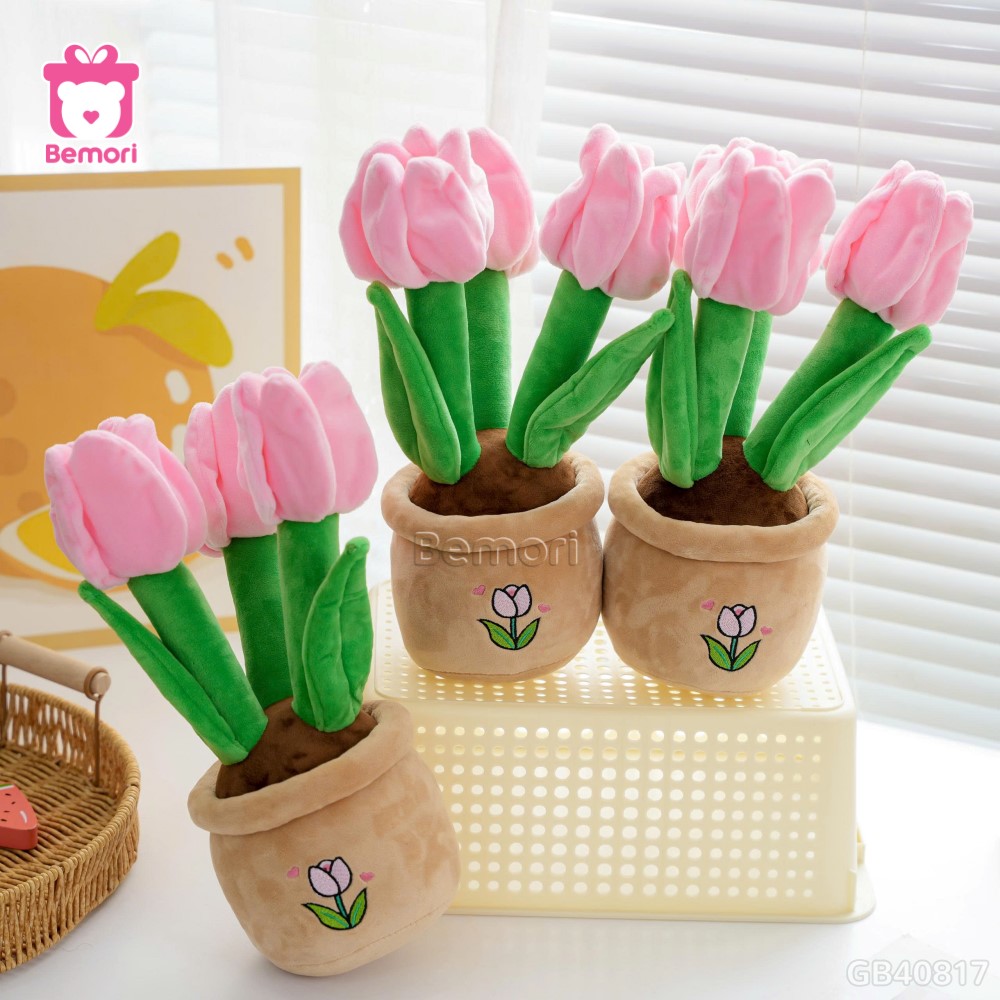 Chậu Hoa Tulip Bông