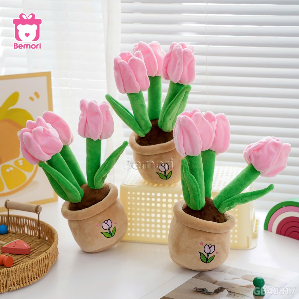 Chậu Hoa Tulip Bông