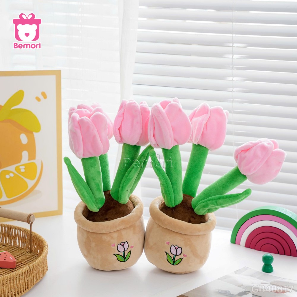 Chậu Hoa Tulip Bông