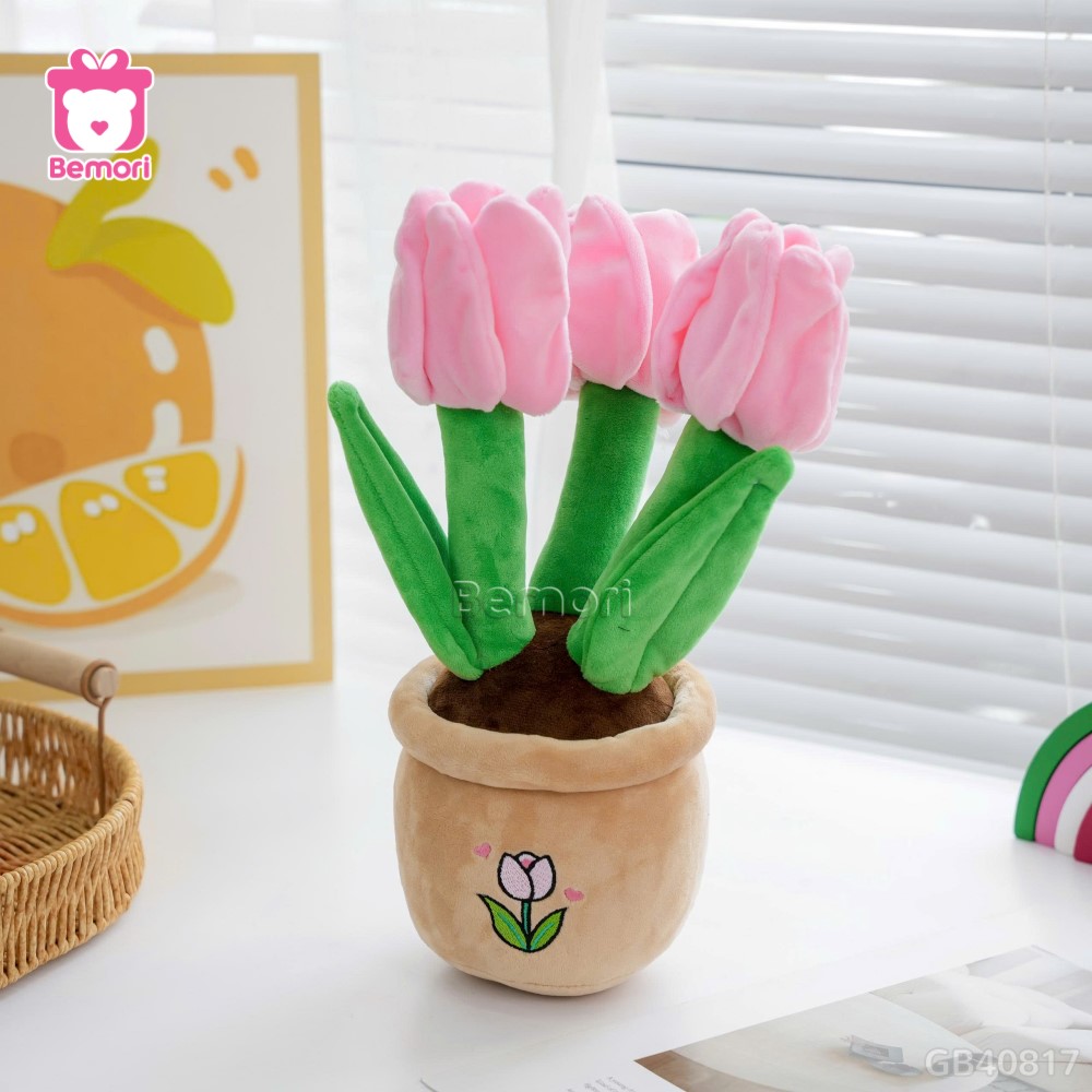 Chậu Hoa Tulip Bông