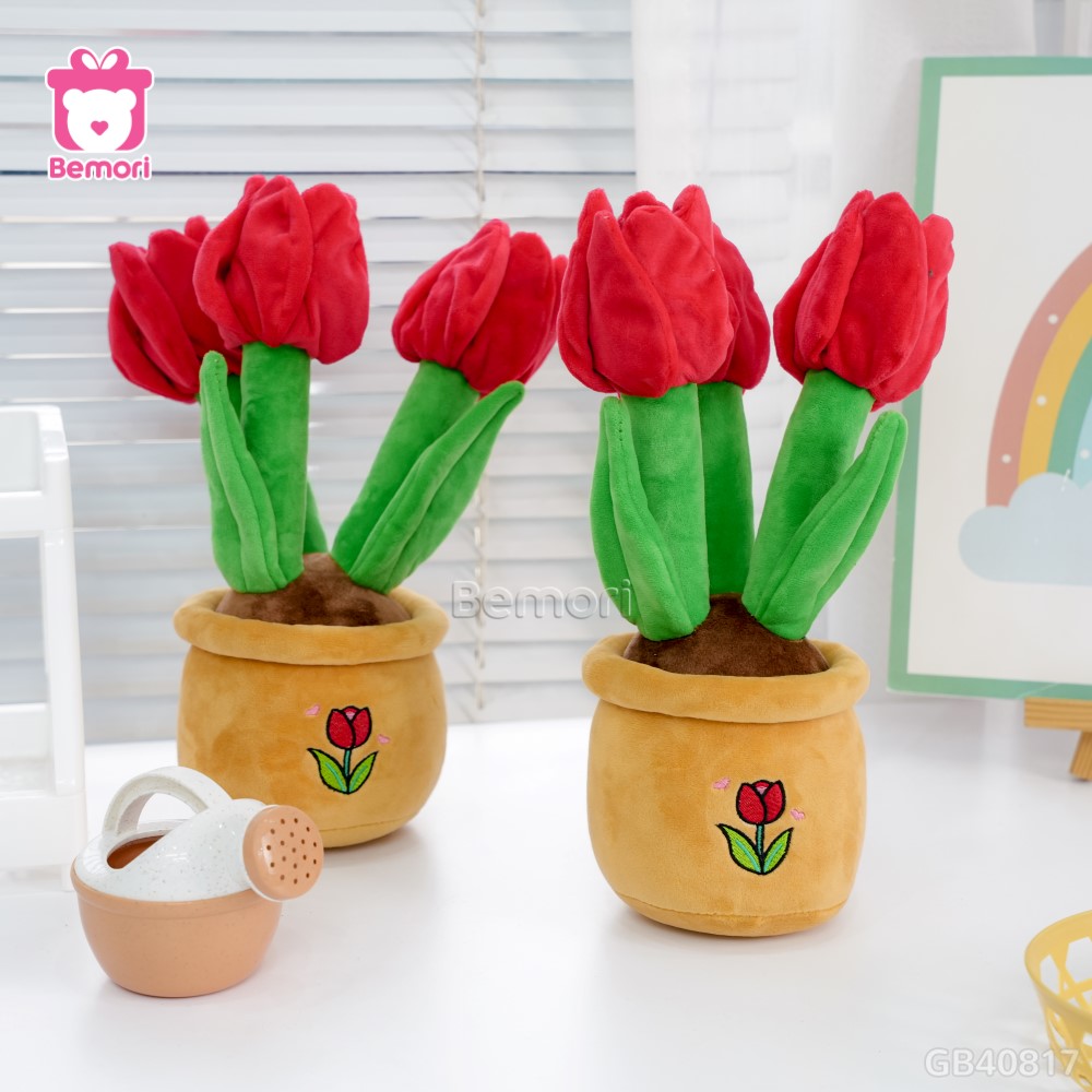 Chậu Hoa Tulip Bông