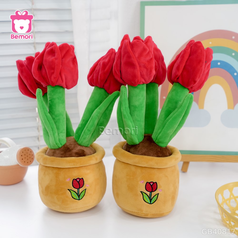 Chậu Hoa Tulip Bông