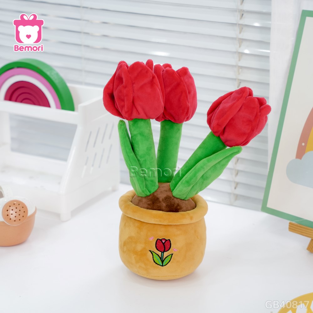 Chậu Hoa Tulip Bông