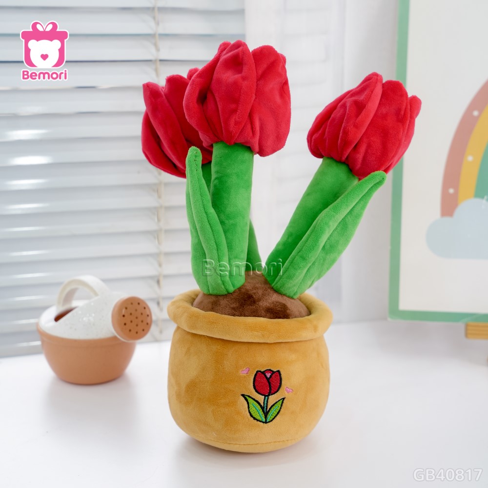 Chậu Hoa Tulip Bông