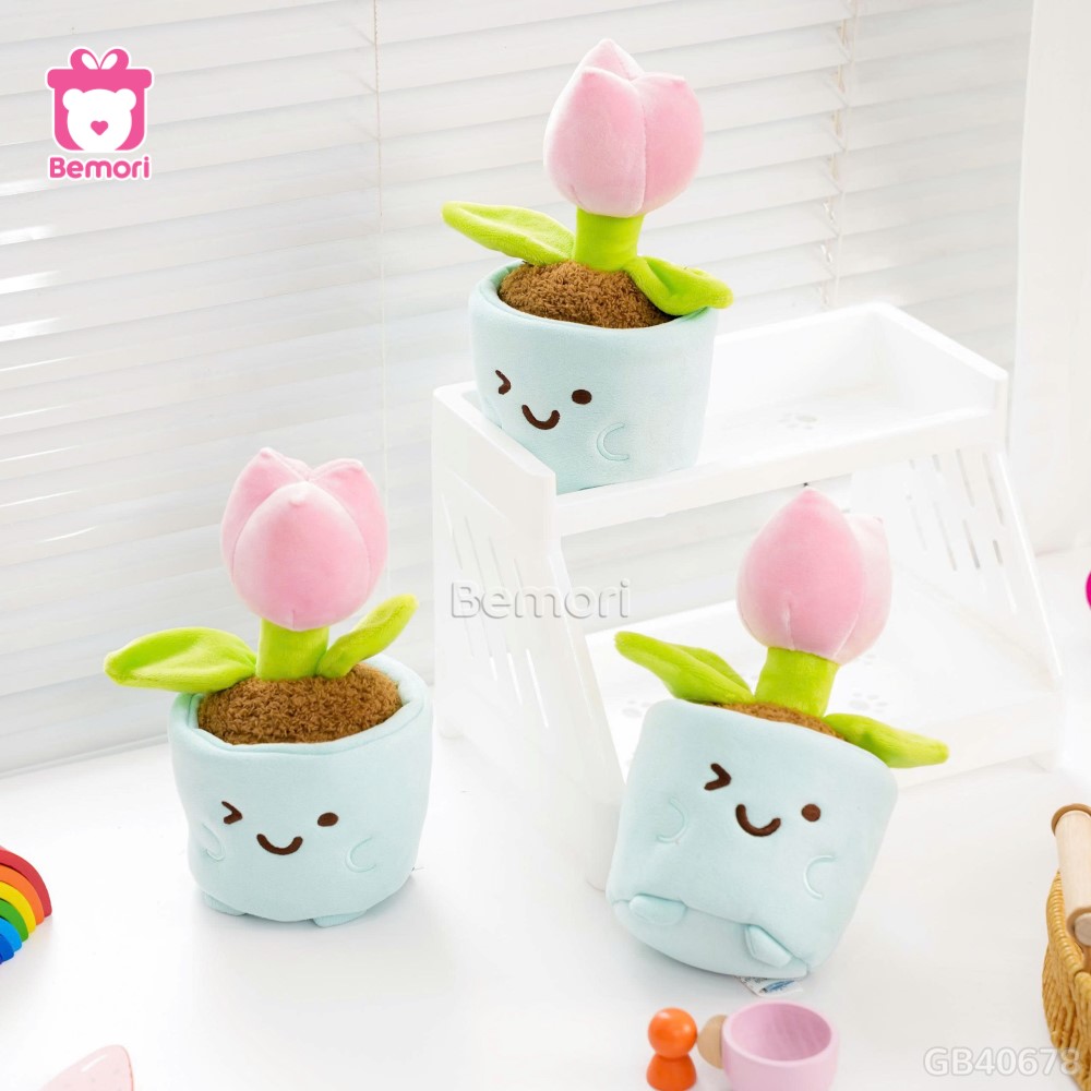 Chậu Hoa Bông Vui Vẻ