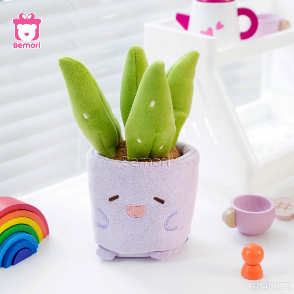 Chậu Hoa Bông Vui Vẻ