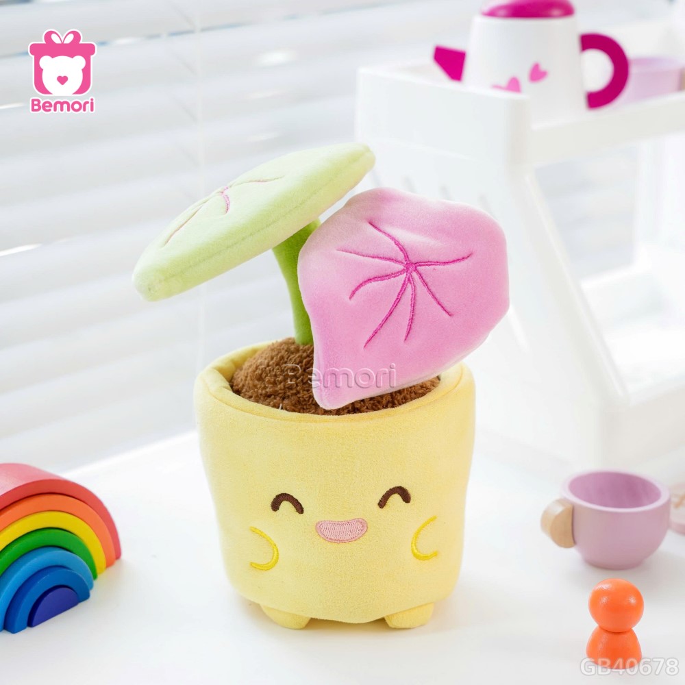 Chậu Hoa Bông Vui Vẻ