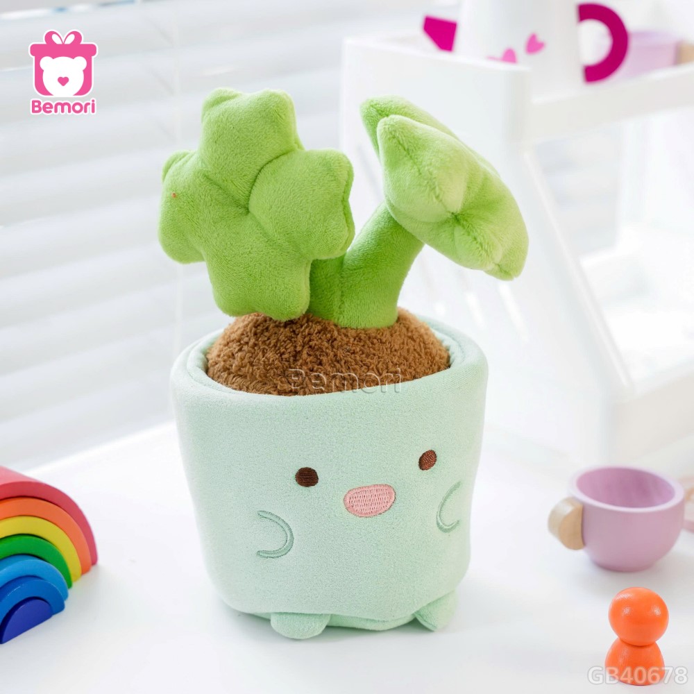 Chậu Hoa Bông Vui Vẻ