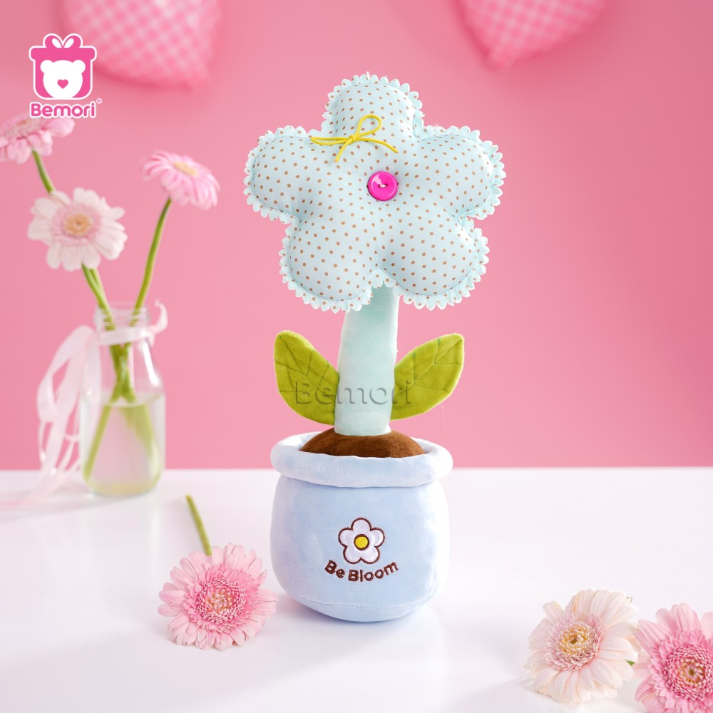 Tình yêu nảy mầm từ Set Giỏ Chậu Hoa Caro Bông Be Bloom