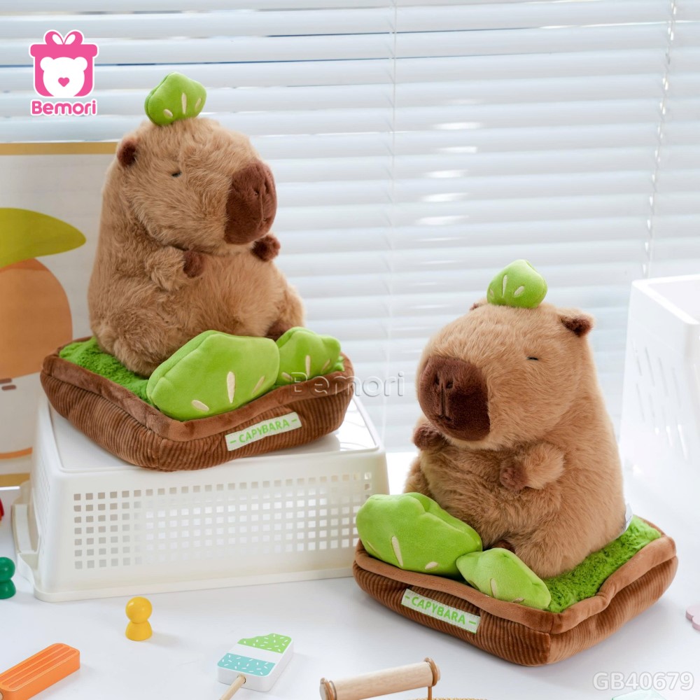 Chậu Cây Capybara Bông