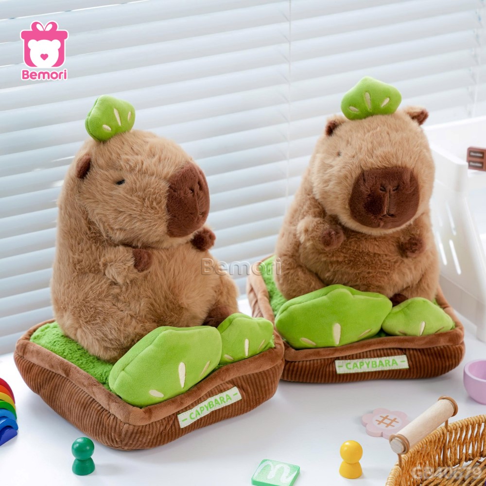 Chậu Cây Capybara Bông