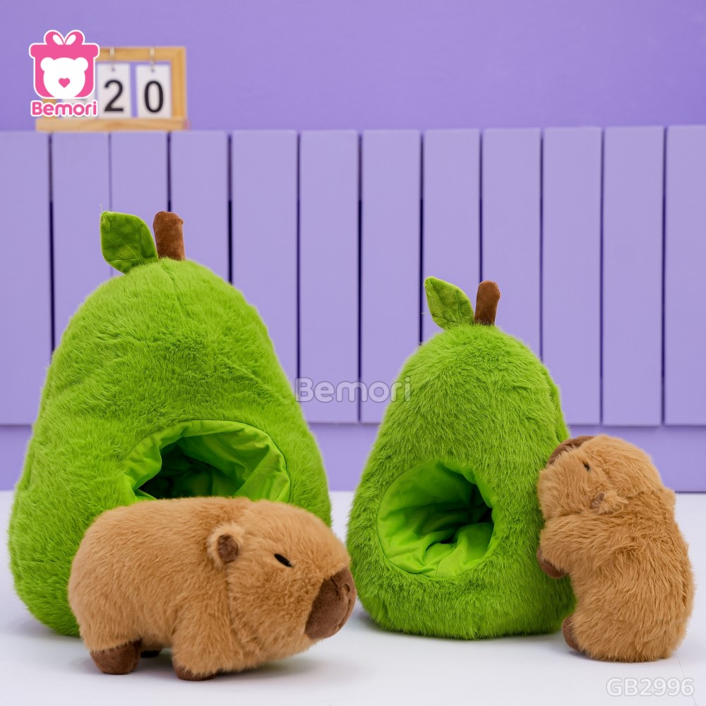 Quả Bơ 2in1 Gấu Bông Capybara – món quà độc đáo