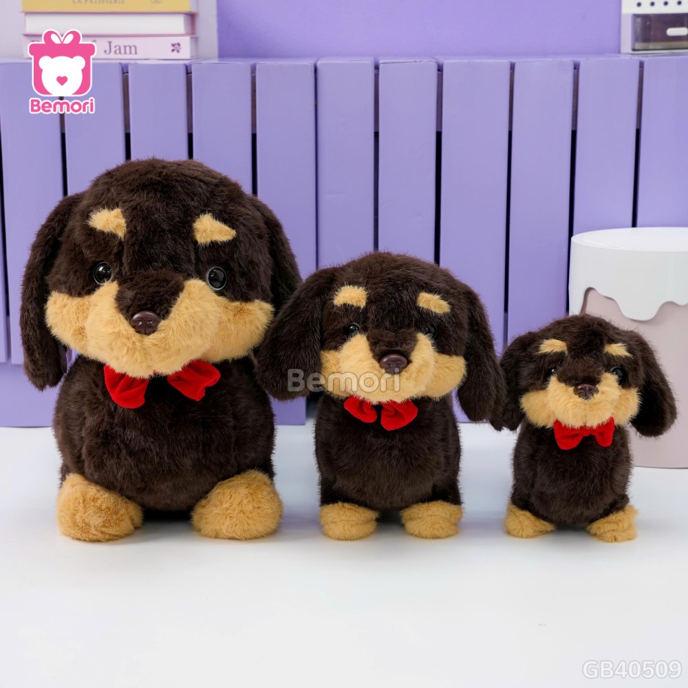 Chó Bông Dachshund Lạp Xưởng