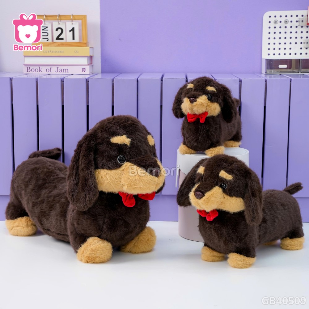 Chó Bông Dachshund Lạp Xưởng