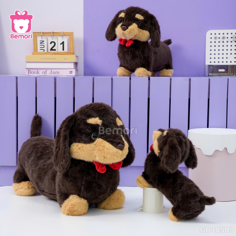 Chó Bông Dachshund Lạp Xưởng