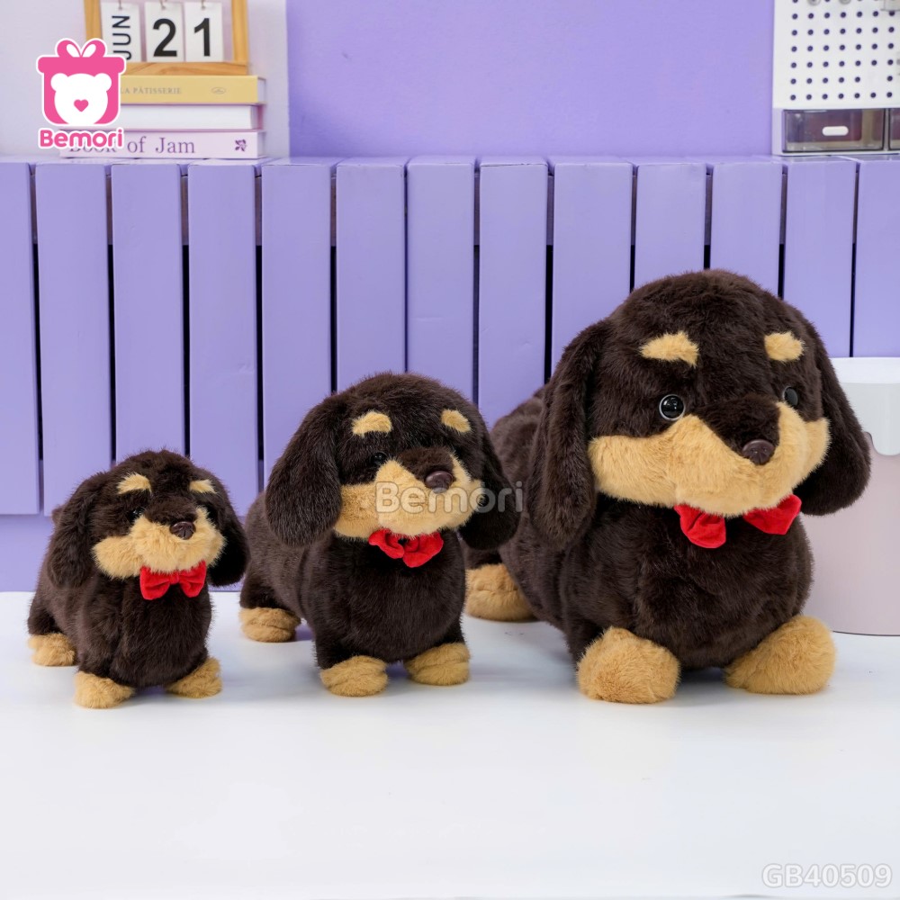 Chó Bông Dachshund Lạp Xưởng