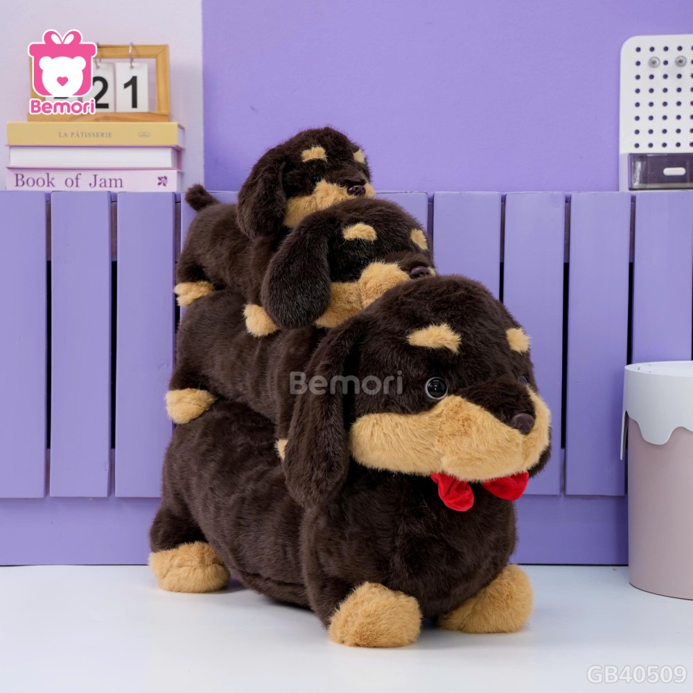 Chó Bông Dachshund Lạp Xưởng