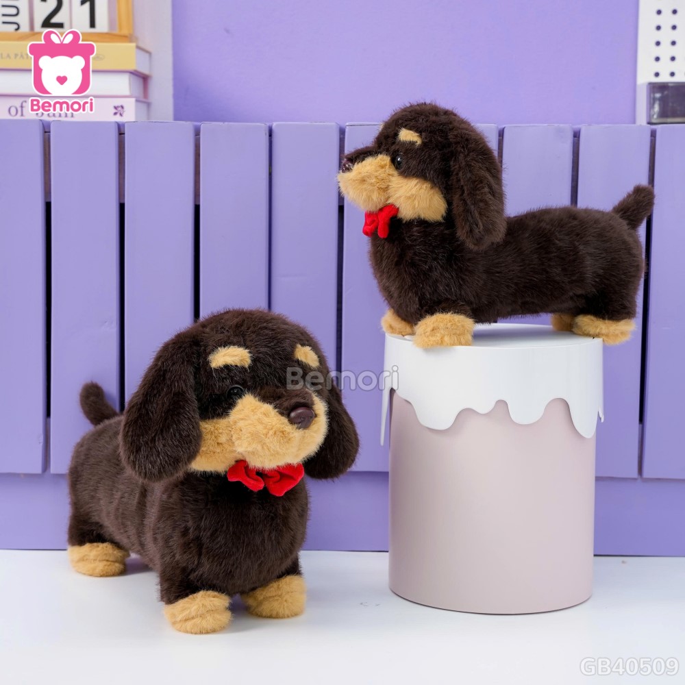 Chó Bông Dachshund Lạp Xưởng