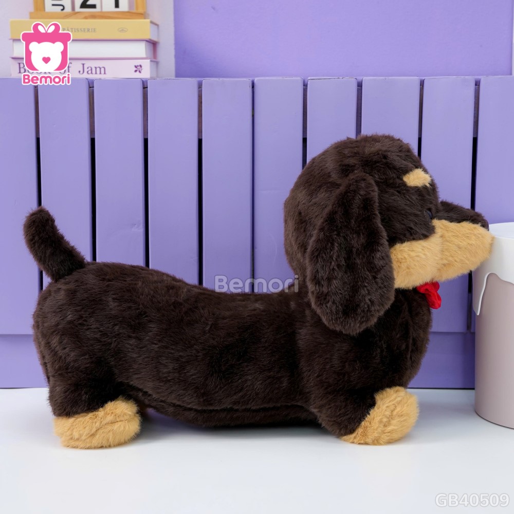 Chó Bông Dachshund Lạp Xưởng