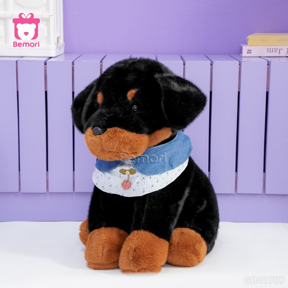 Chó Bông Dachshund Quàng Khăn