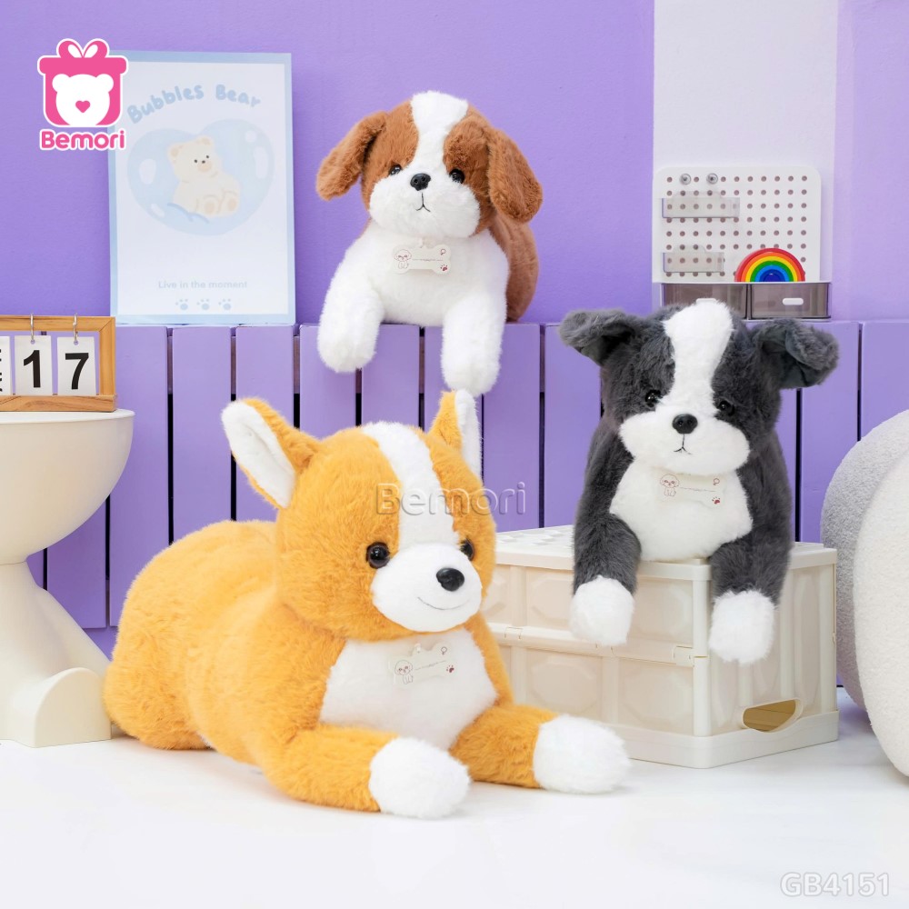 Chó Bông Đeo Xương Nằm