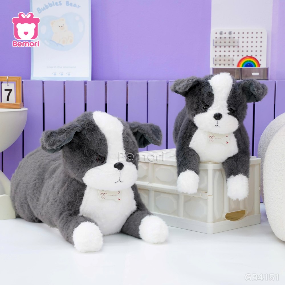 Chó Bông Đeo Xương Nằm