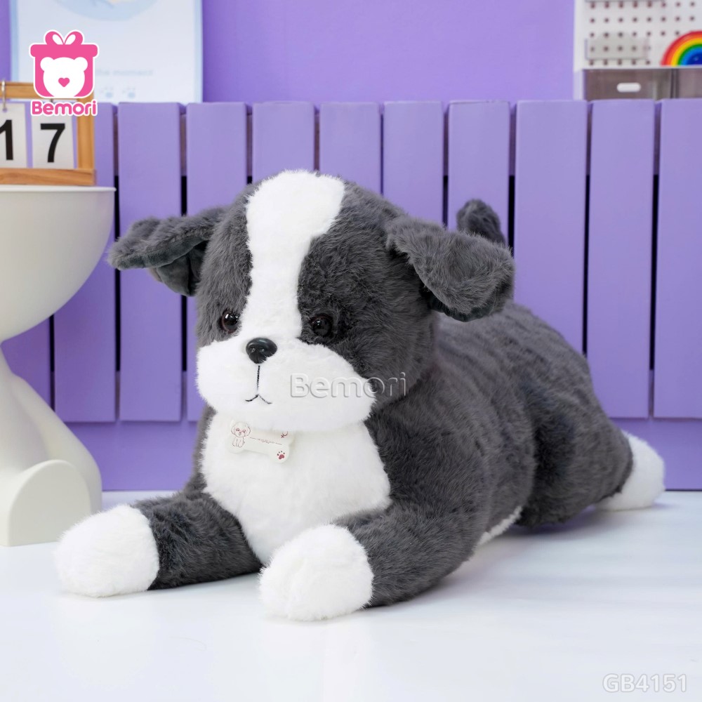 Chó Bông Đeo Xương Nằm