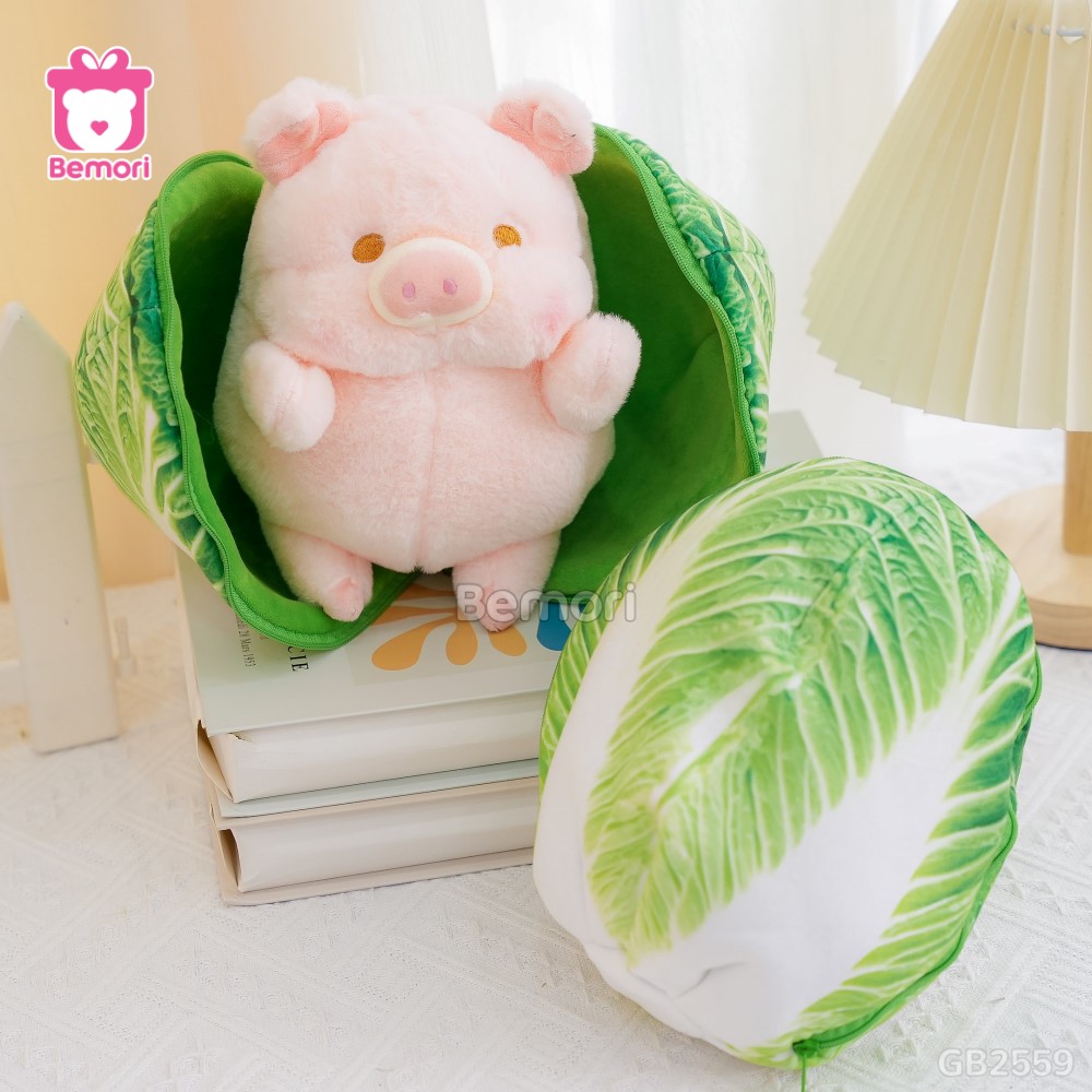 Heo Bông Lulu Bắp Cải