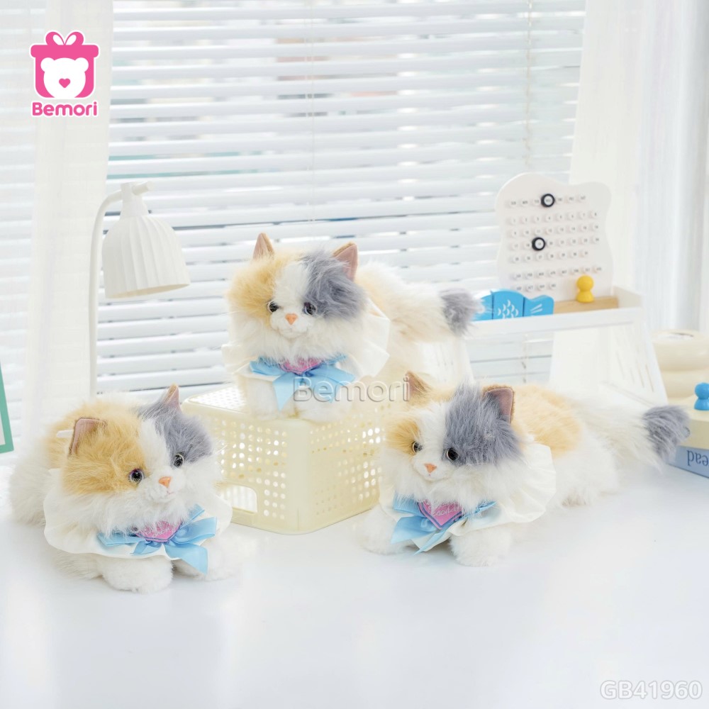 Mèo Bông Tiểu Thư