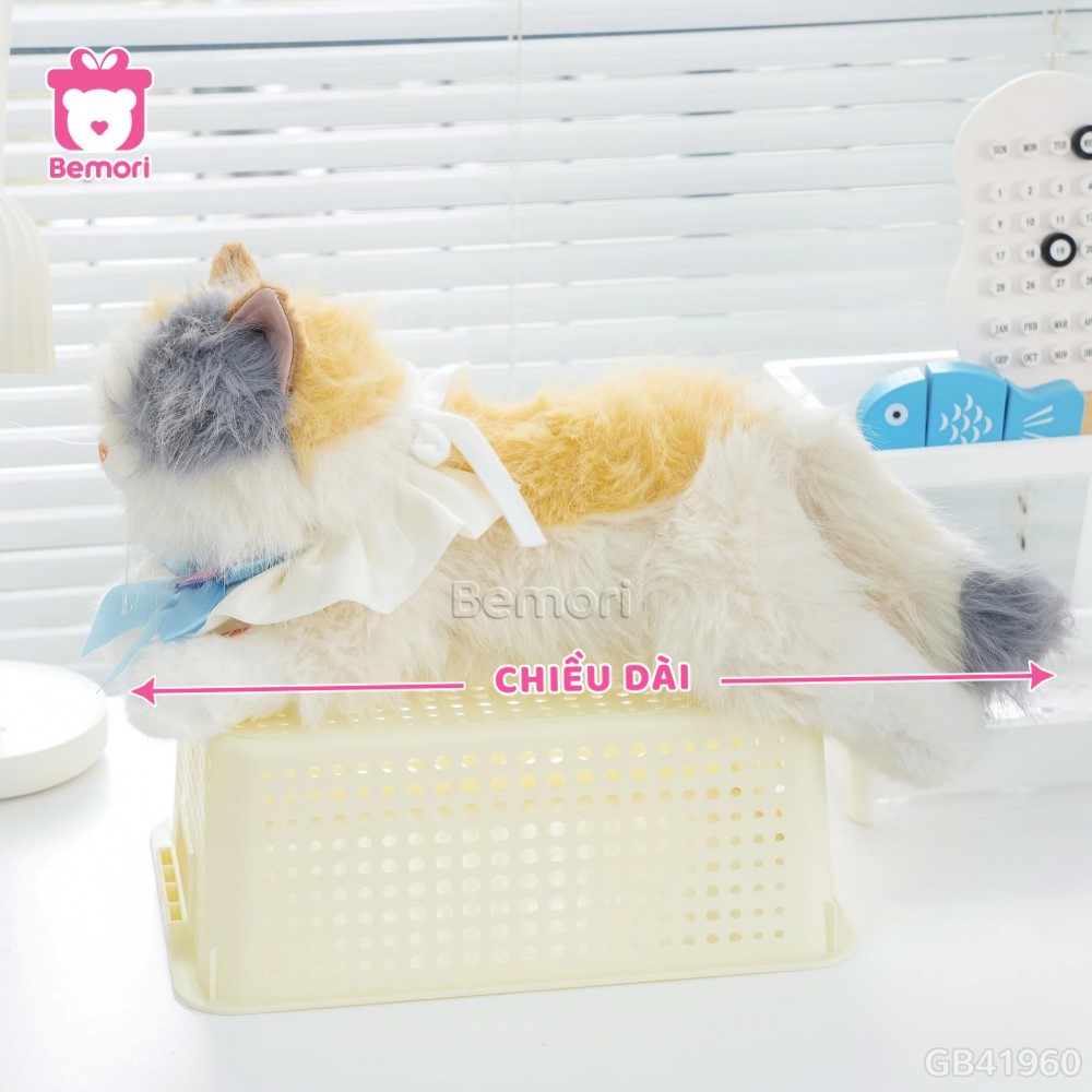 Cách đo kích thước của Mèo Bông Tiểu Thư