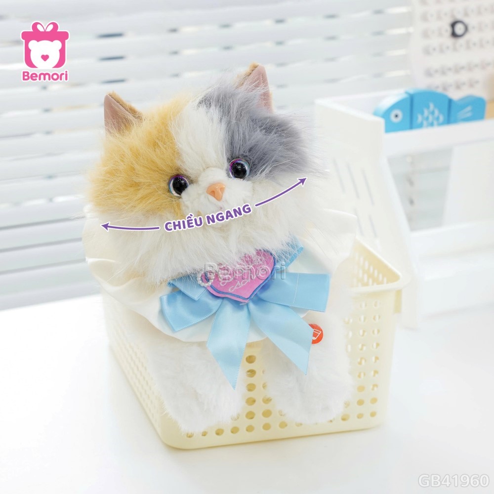 Cách đo kích thước của Mèo Bông Tiểu Thư