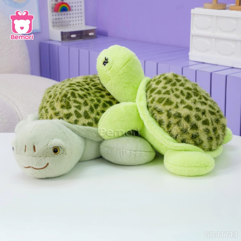 Rùa Bông Lông Lưng Đốm