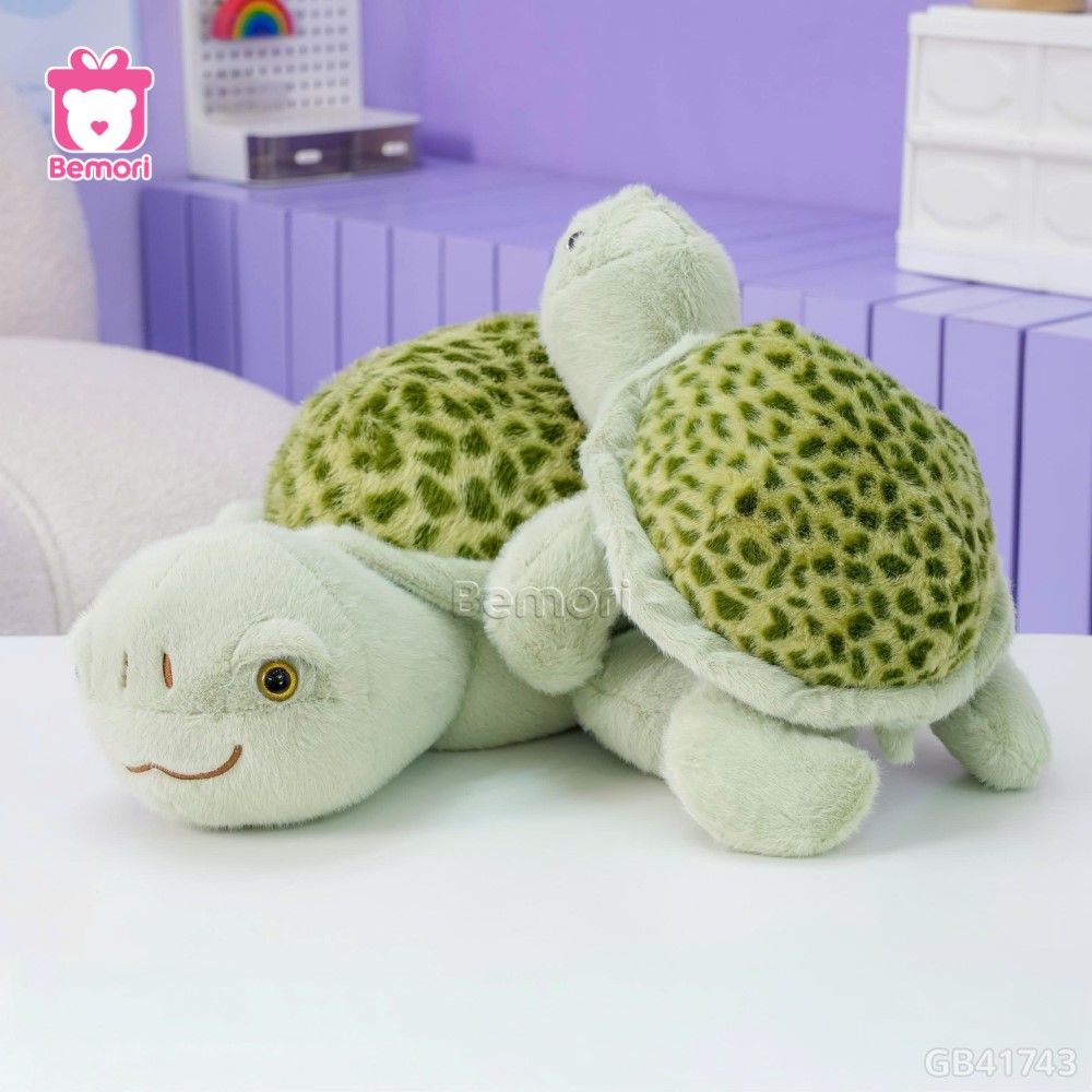 Rùa Bông Lông Lưng Đốm