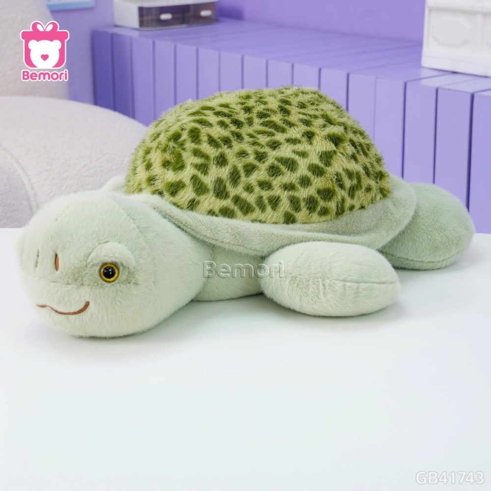 Rùa Bông Lông Lưng Đốm