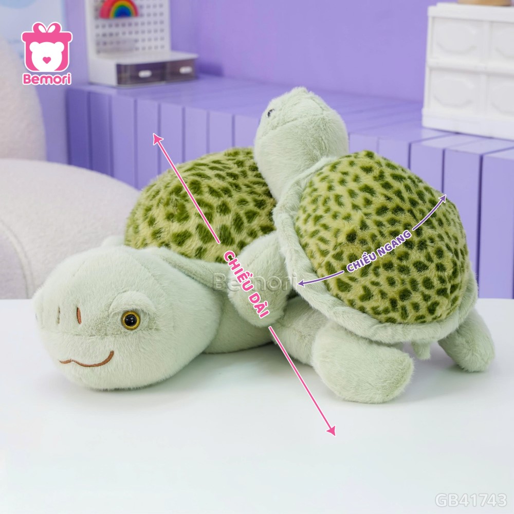 Cách đo kích thước của Rùa Bông Lông Lưng Đốm